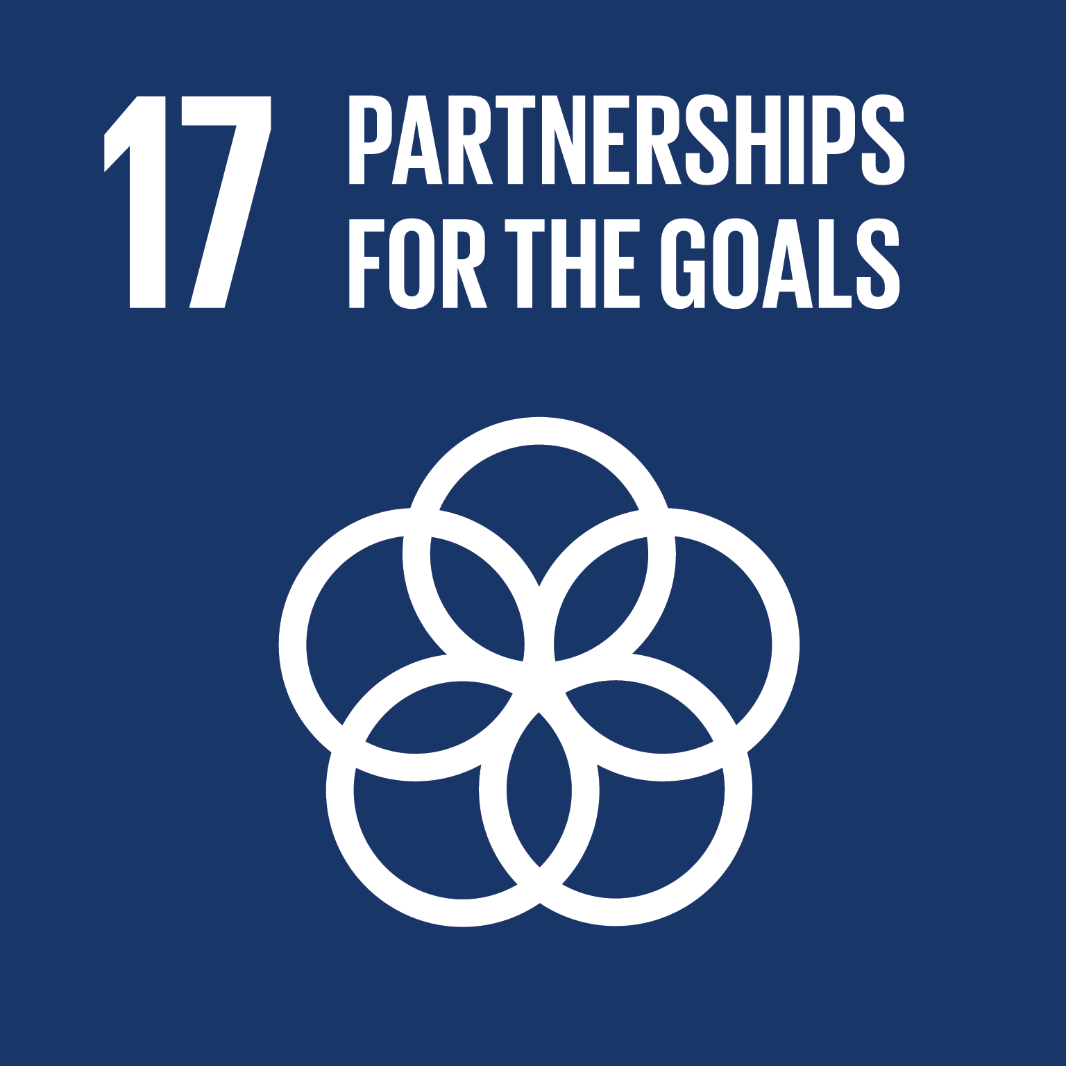 Goal 17. Partnerships for the goals